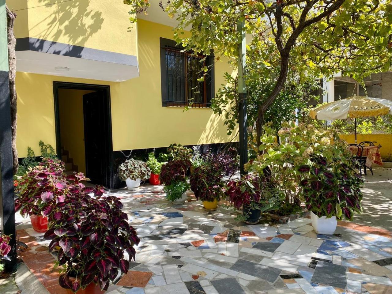 H&A Guest House Golem  Dış mekan fotoğraf